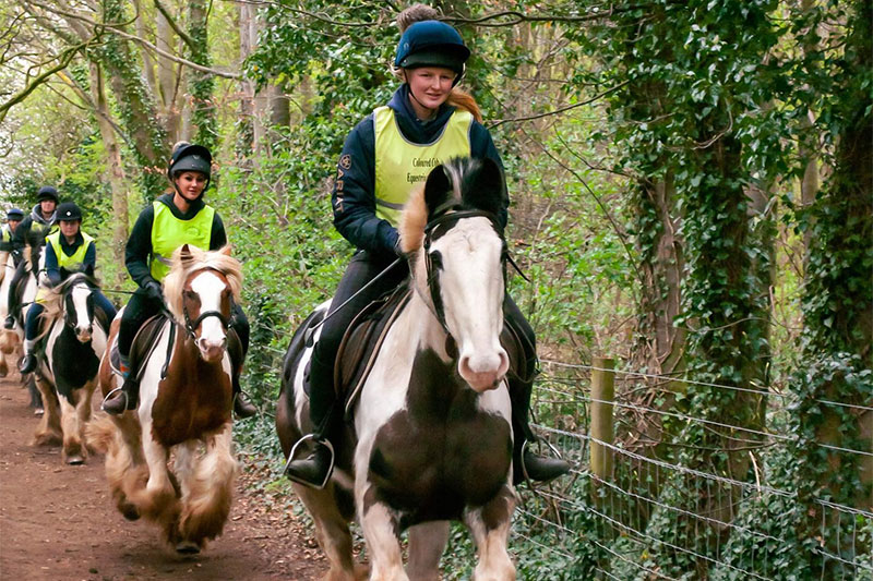 Horse Riding Camp - Лагерь верховой езды в Xplore